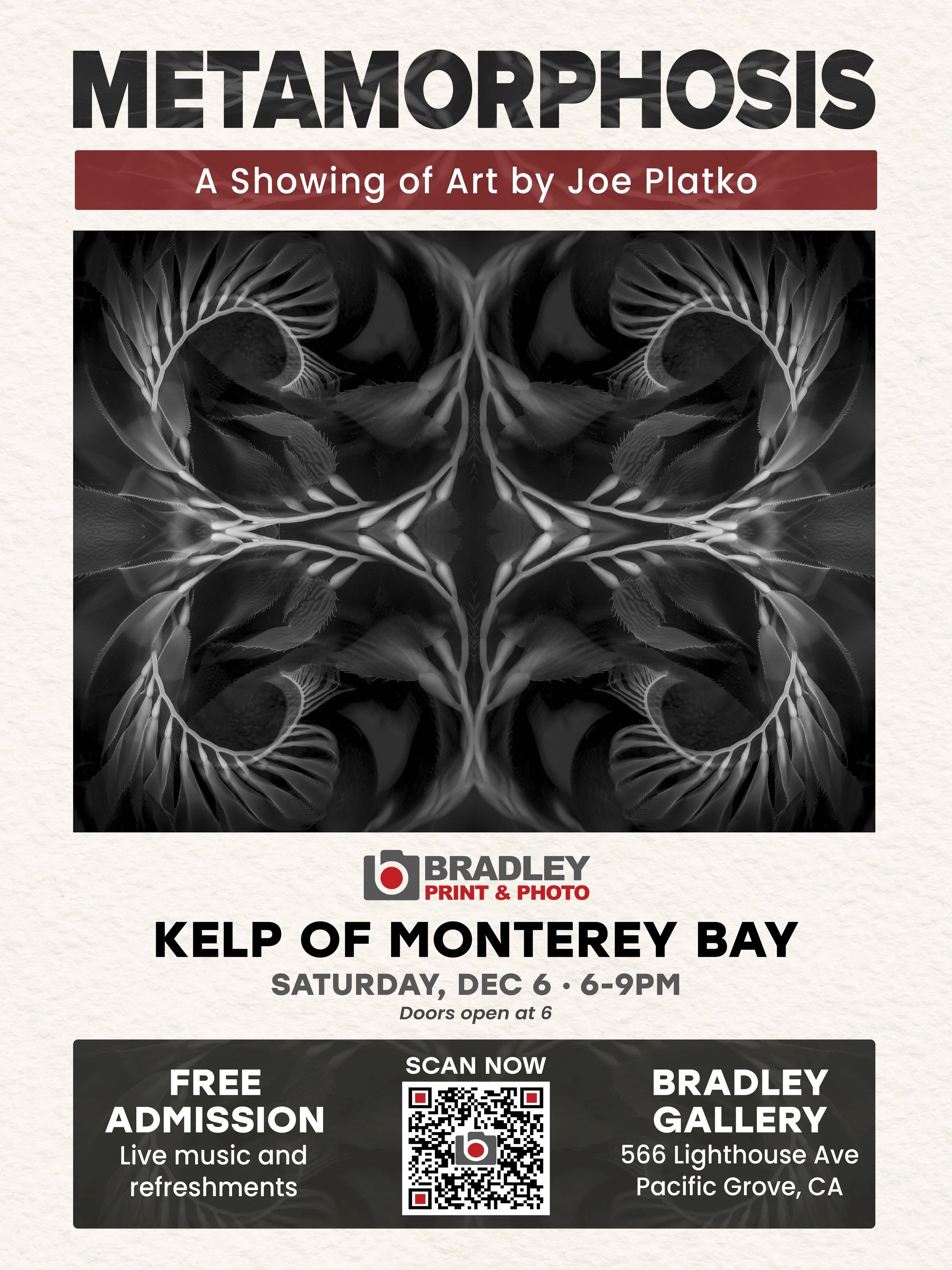 METAMORPHOSIS: A Showing of Art by Joe Platko