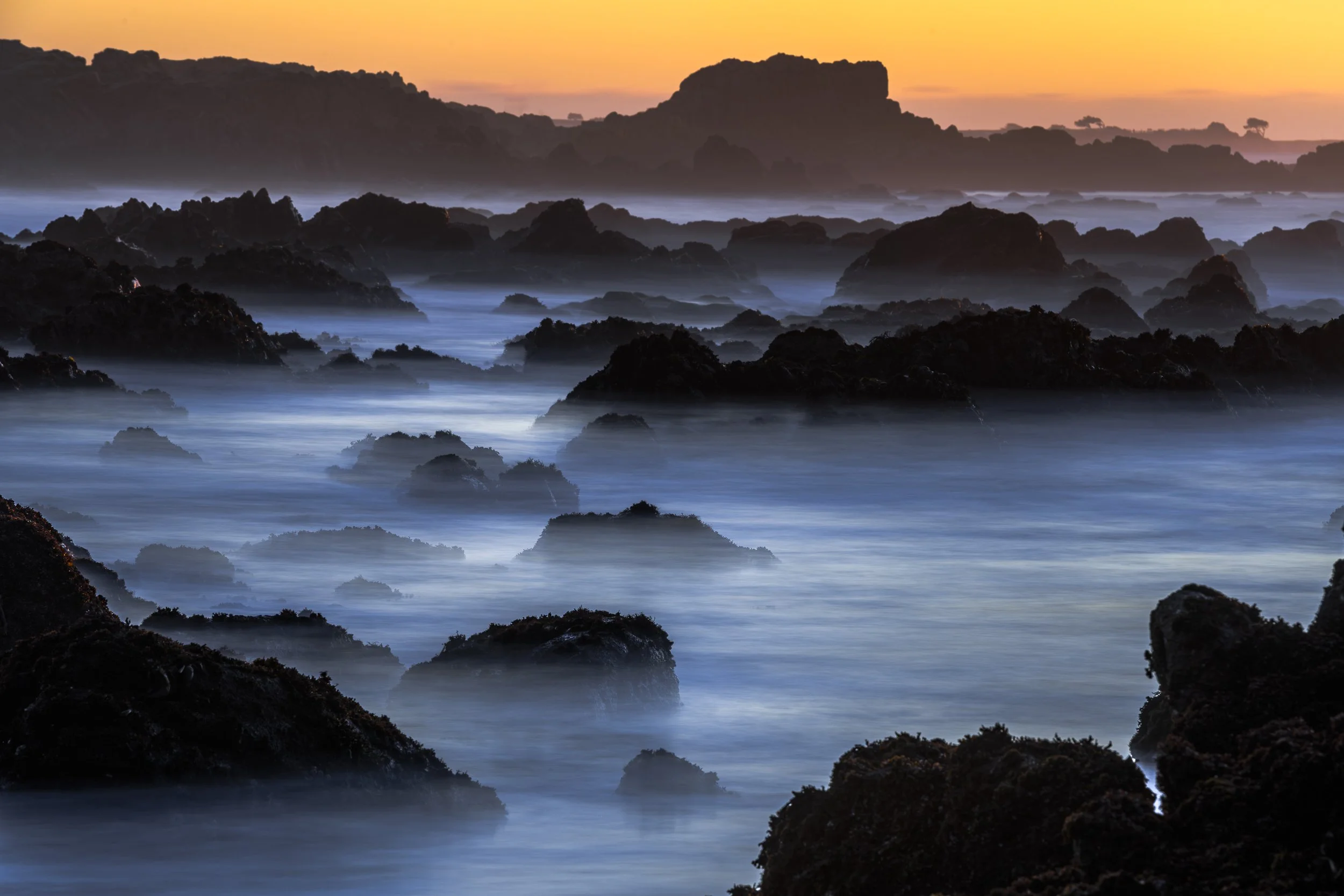 ©jasonbradley_20201228_1631.jpg