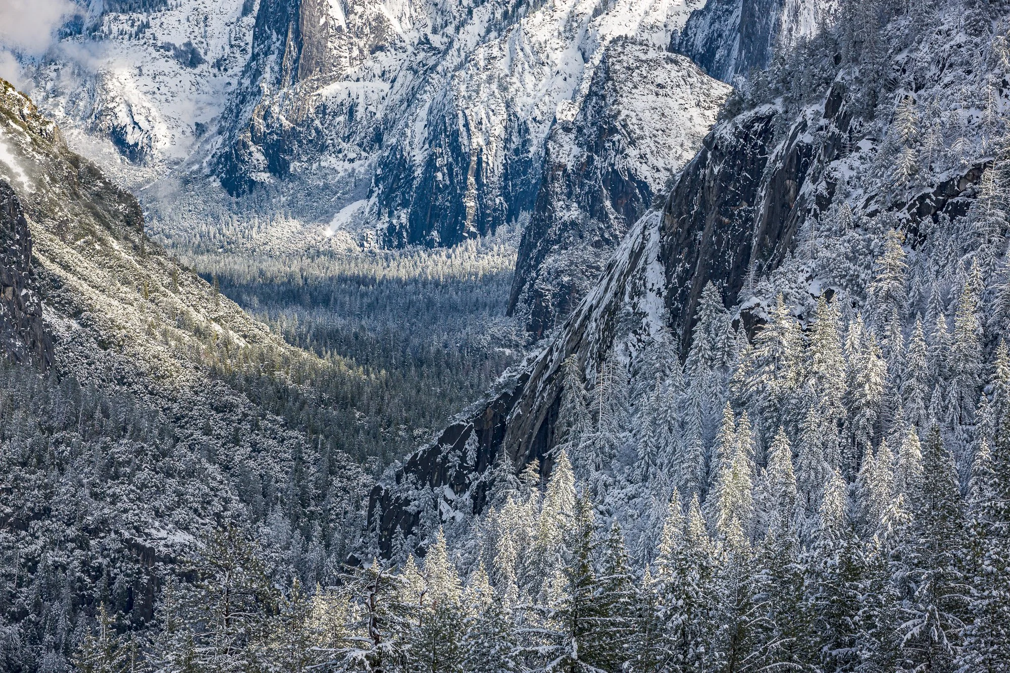 Winter Light, Yosemite Valley, 2008 ©Copyright © 2008 William Neill.jpg