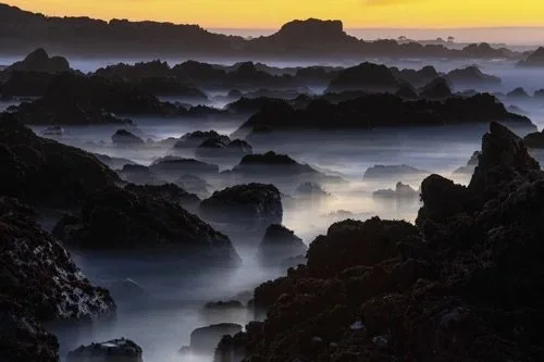 Asilomar at Dawn: Asilomar State Beach Impressions