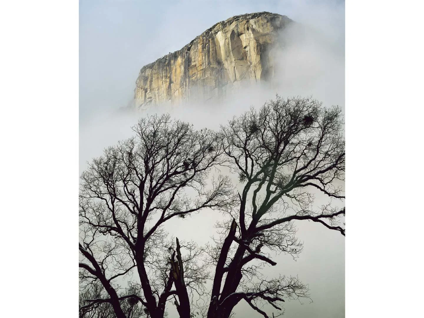 Store_Images_Black_Oak_and_El_Capitan_1982_©William_Neill.jpg