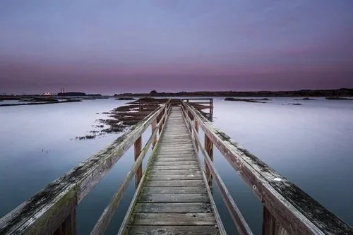 Span of Solitude: Bridge over Elkhorn Slough