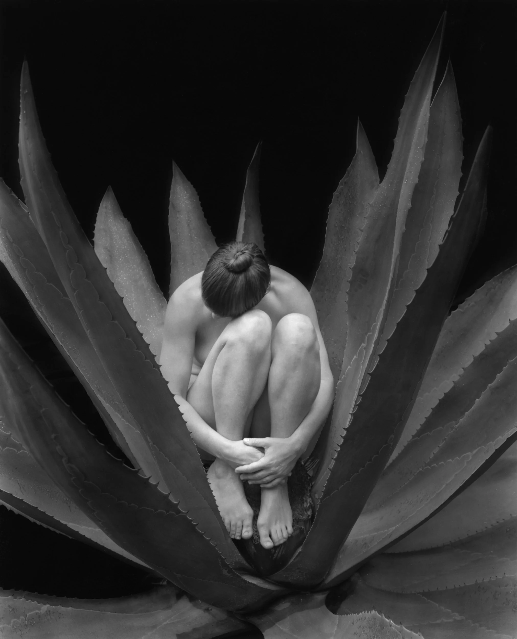 Nude in Cactus, 1999