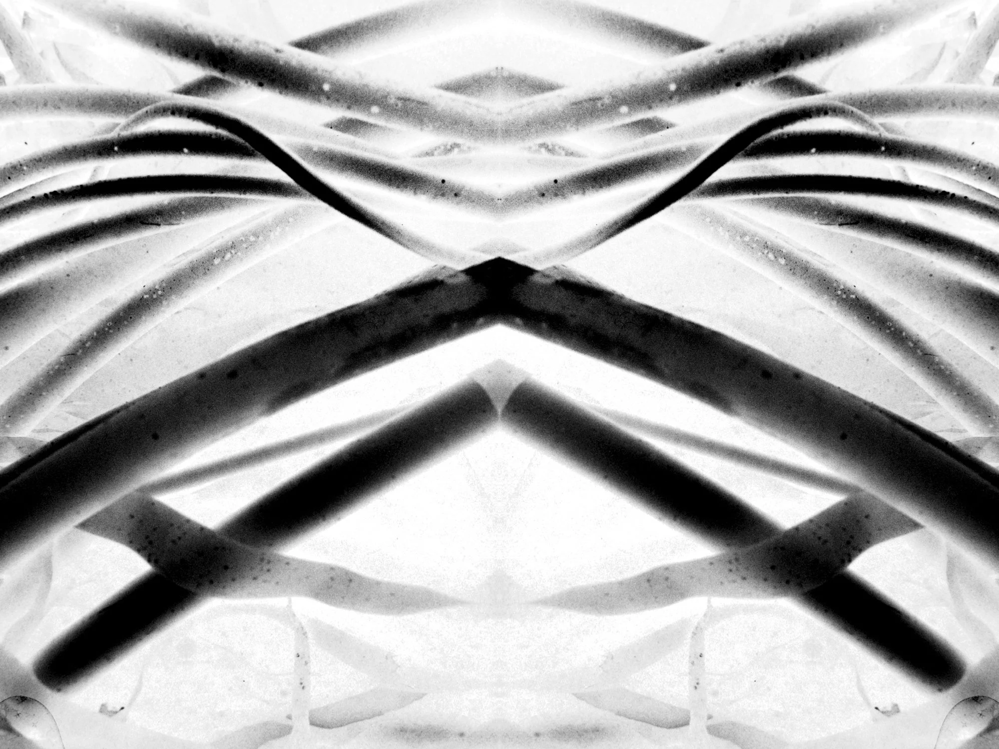 Architectural Bull Kelp #2.jpg