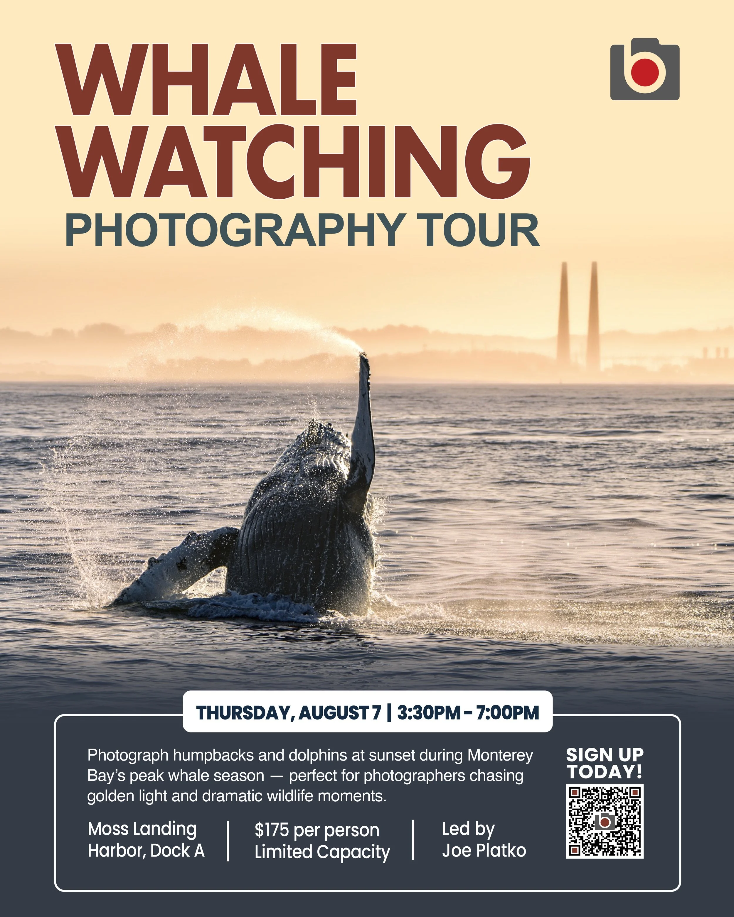Whale Watching Photography Tour, Thursday August 7