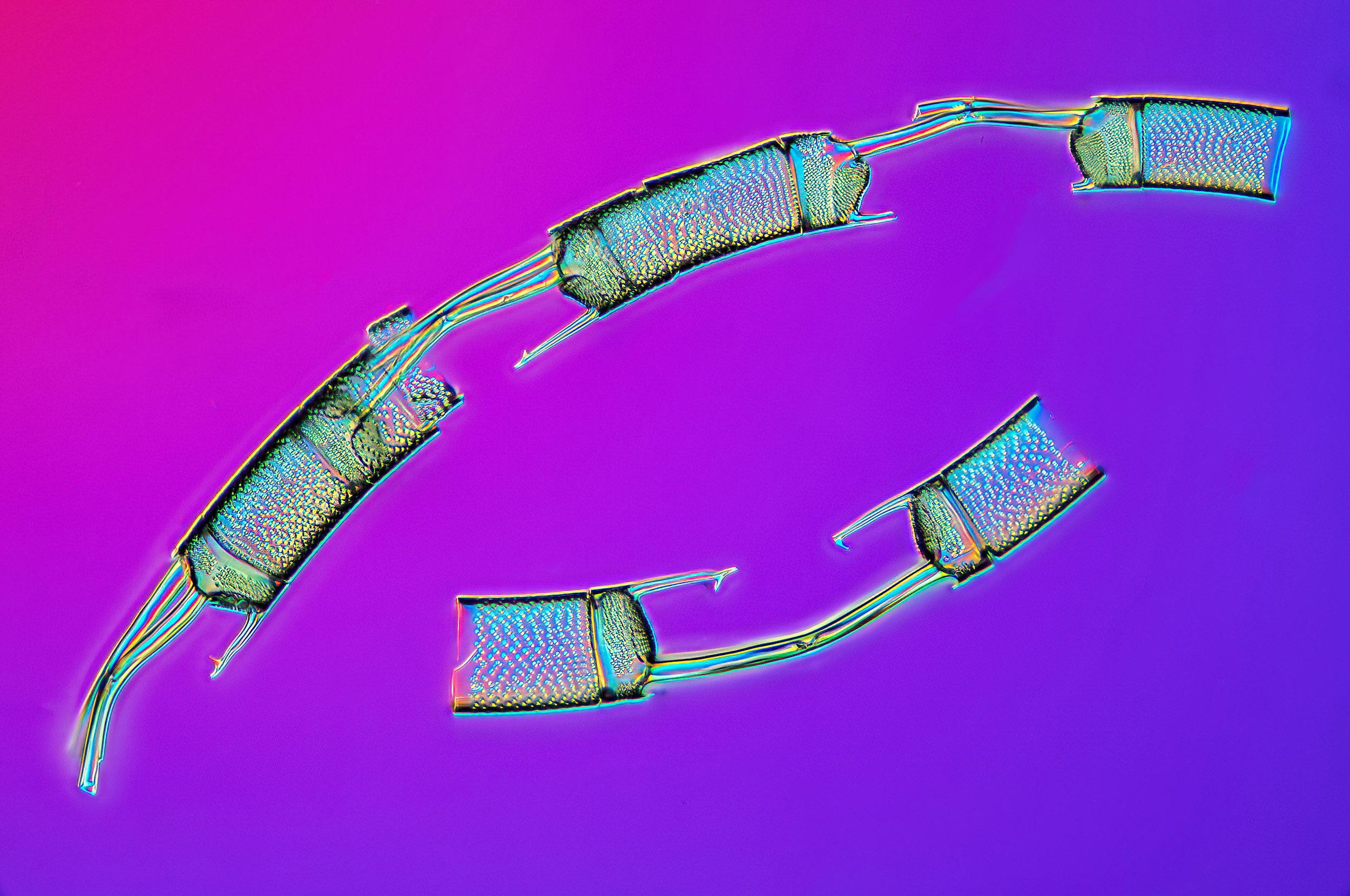 2022-06-0612-49-31ARadius8Smoothing4copy-SharpenAI-Focuscopy.jpeg