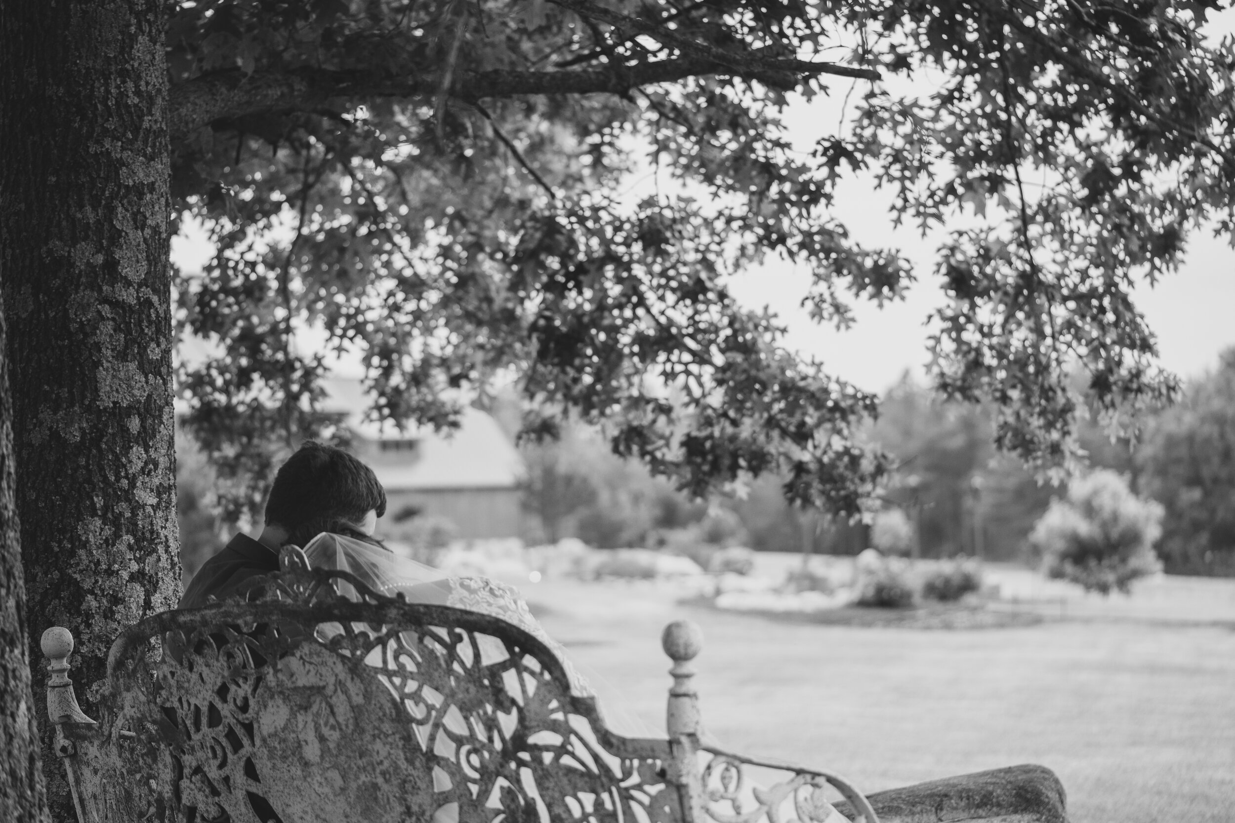 A person sitting on a decorative park bench under a large tree, facing away, with an open book in front. The background features a grassy field, trees, and a distant building, in black and white.
