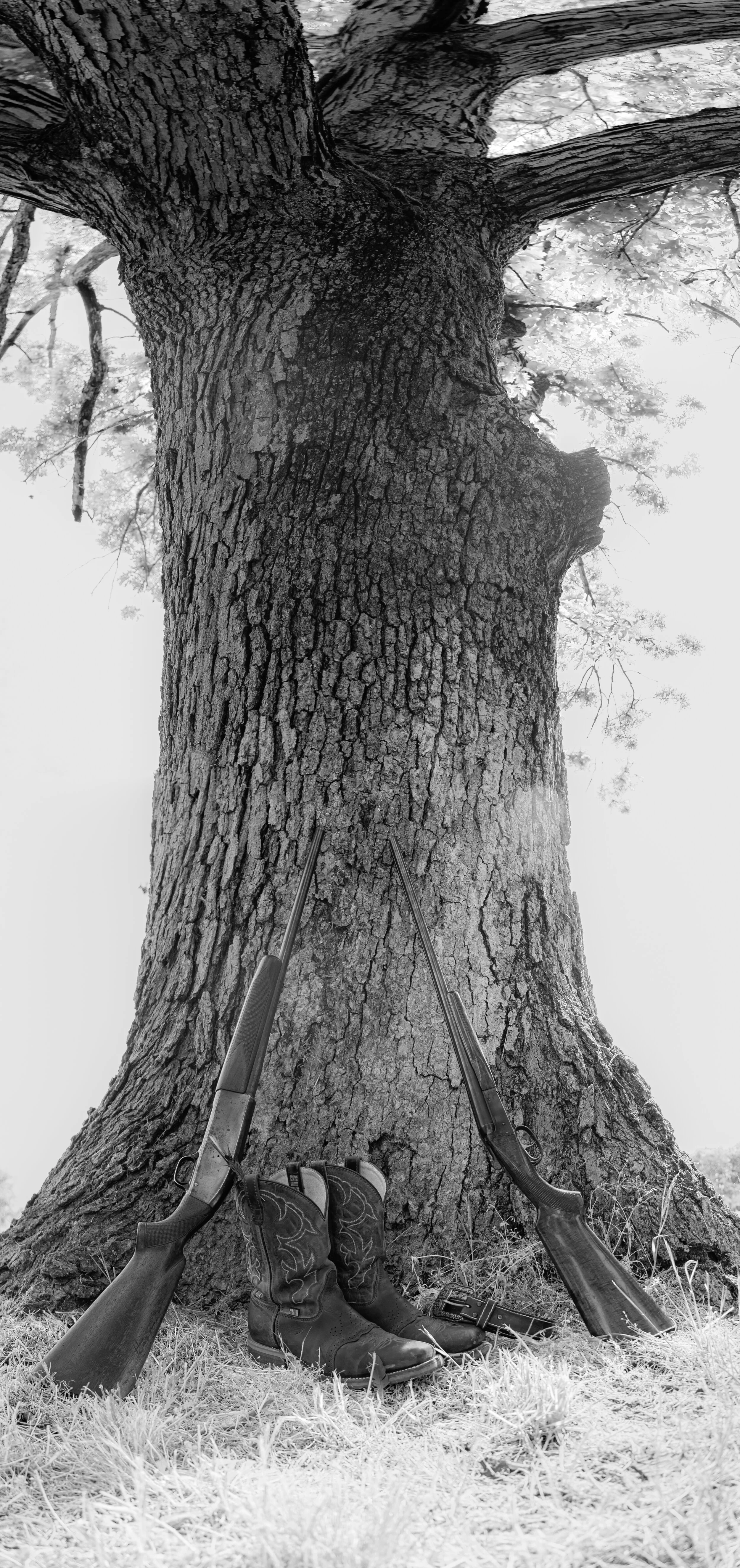 Two rifles and a pair of cowboy boots leaning against a large tree trunk.