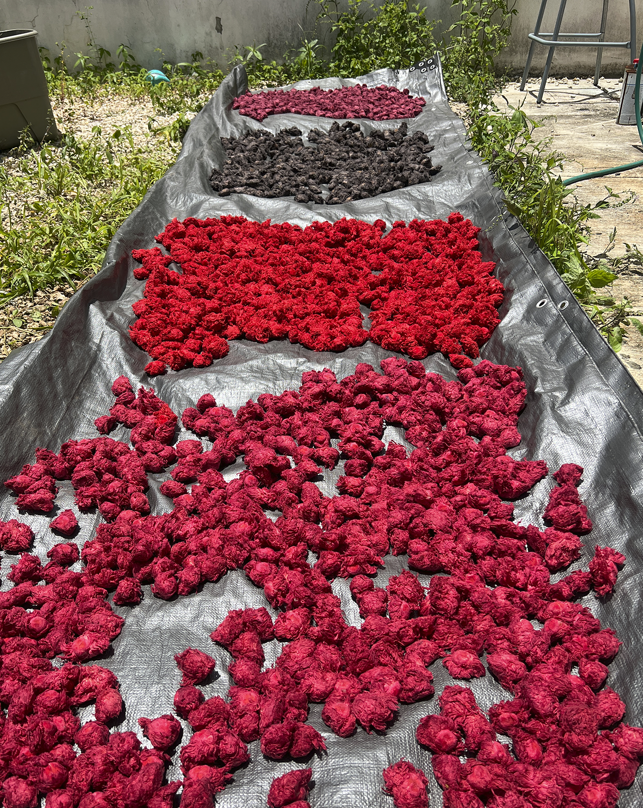 Alfombra de pompones.png