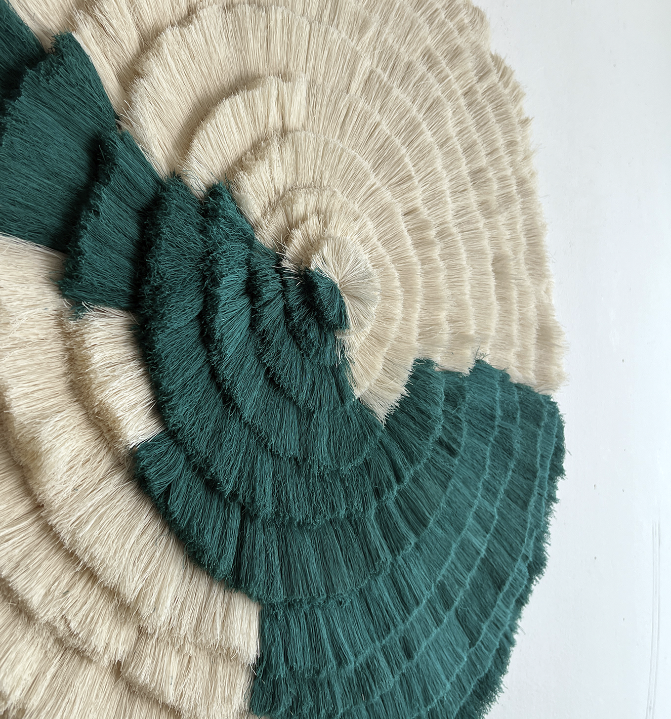 Sol arlequin  terciaria.png