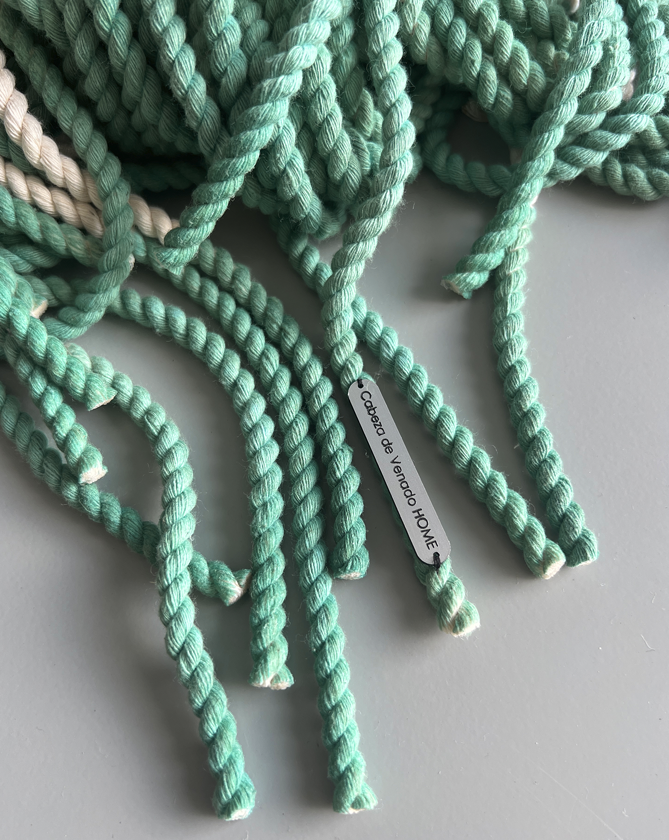 Lobster puntas verdes.png