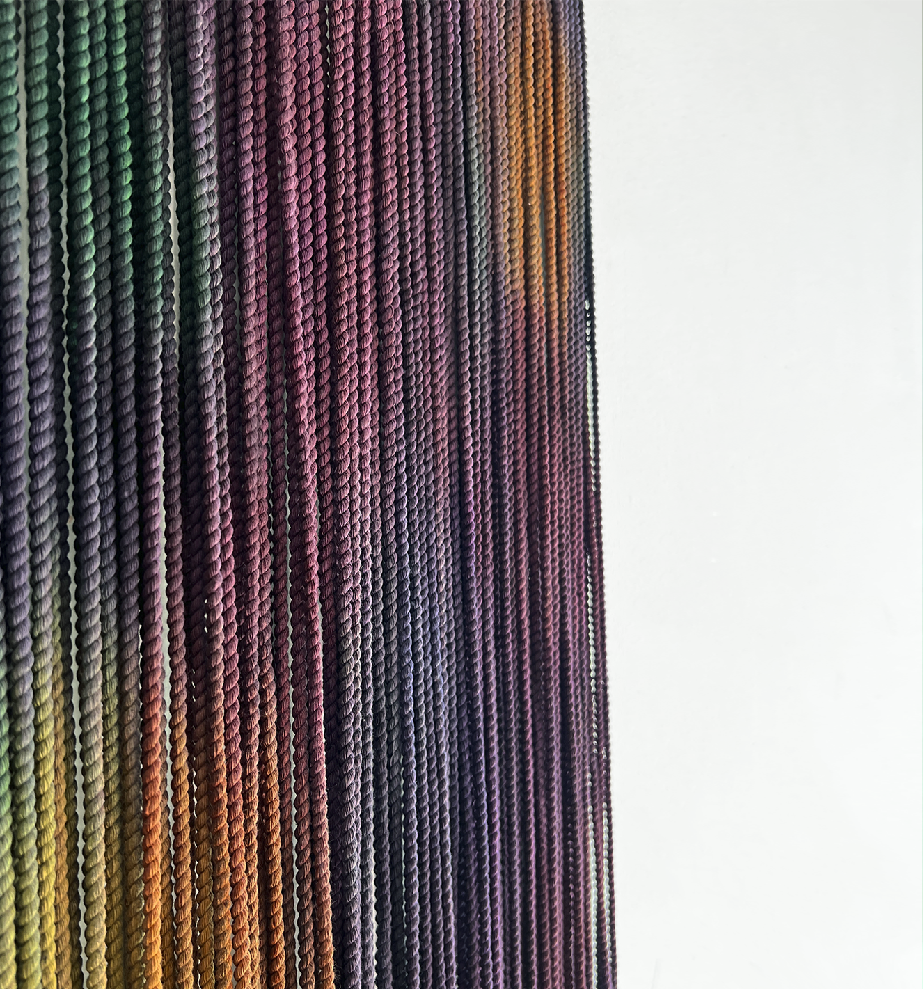 Klaventa primaria2.png (copia)