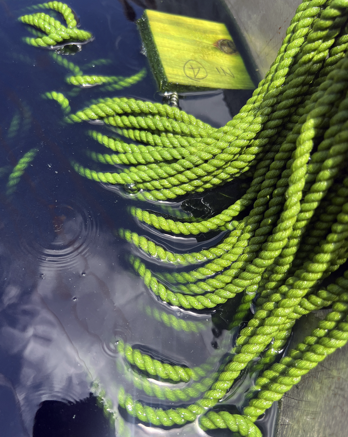 verde5.png