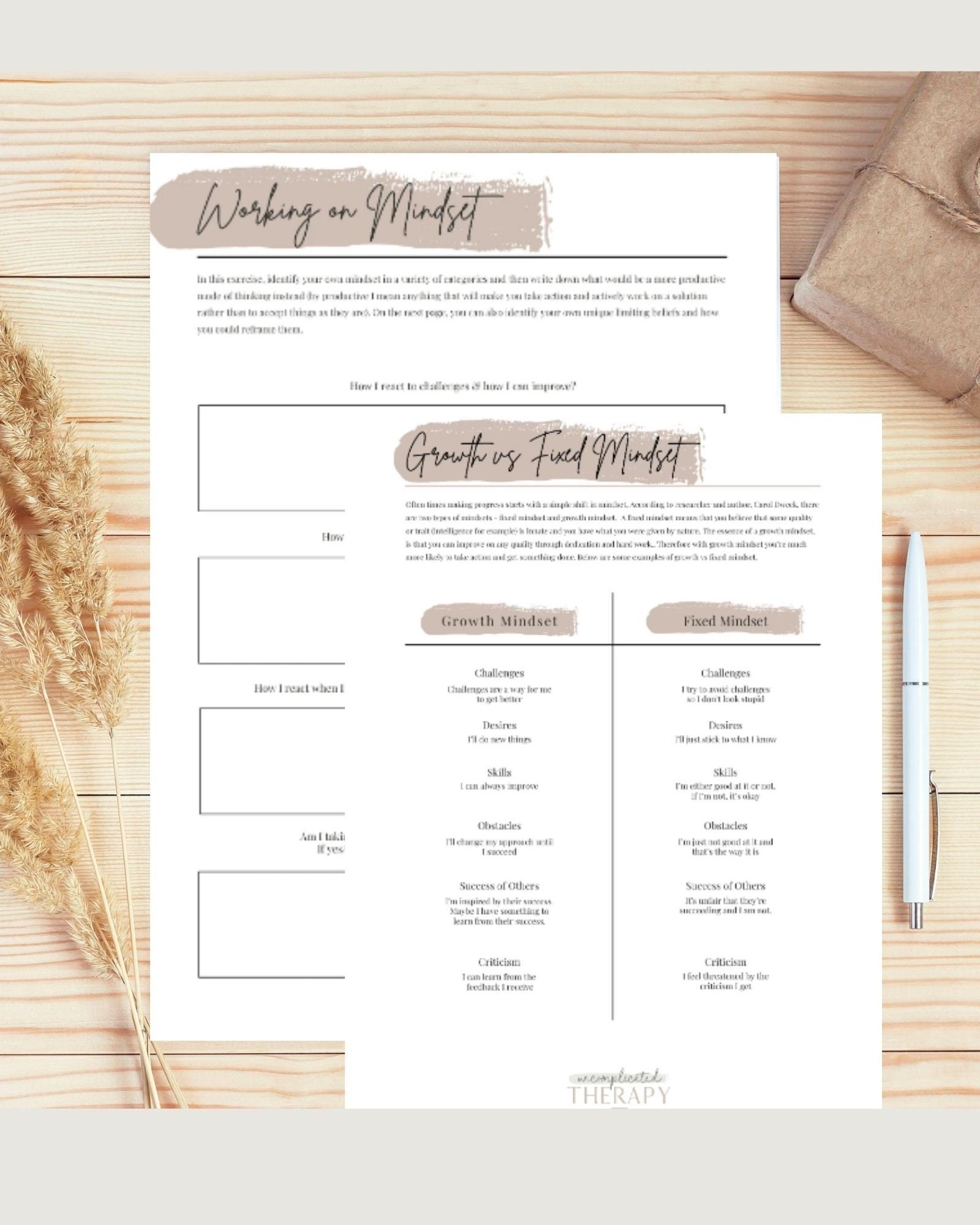 Growth Mindset Worksheets (2) For Therapists, Counselors, Coaches & Clients