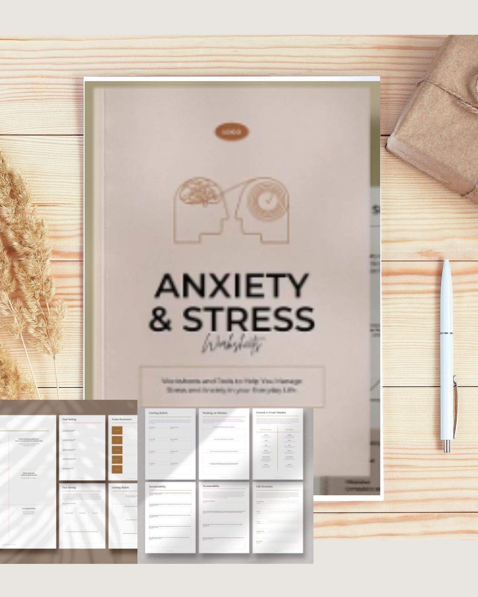 32 Page Anxiety and Stress Workbook: Challenging Negative Thoughts, Anxiety Tracker, Coping Skills, Assessment For therapists and coaches