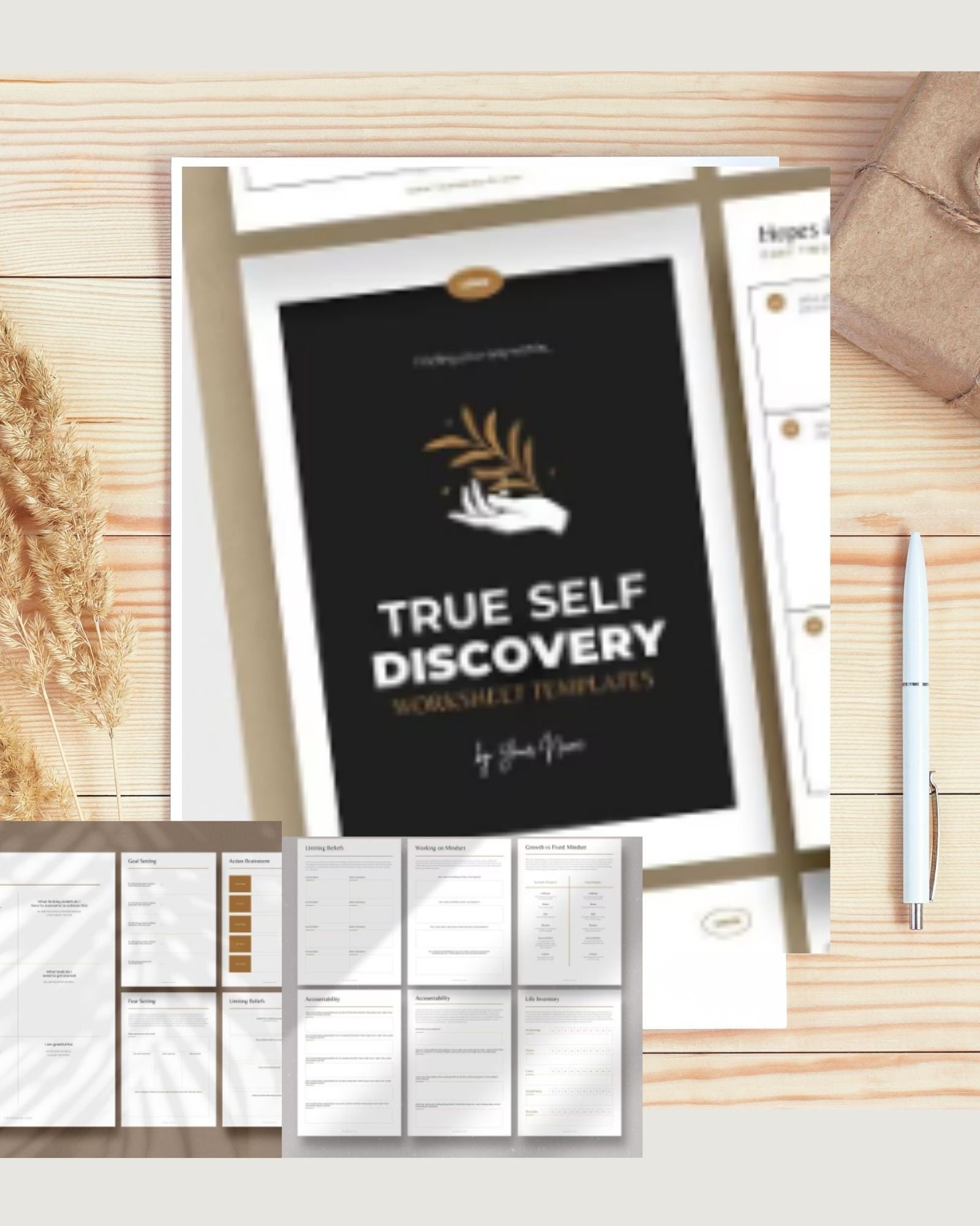 26 Page Self Discovery Workbook: Reflections, Perceptions, Values, Strengths, Talents, Inspiration, For Therapists, Counselors, and Coaches