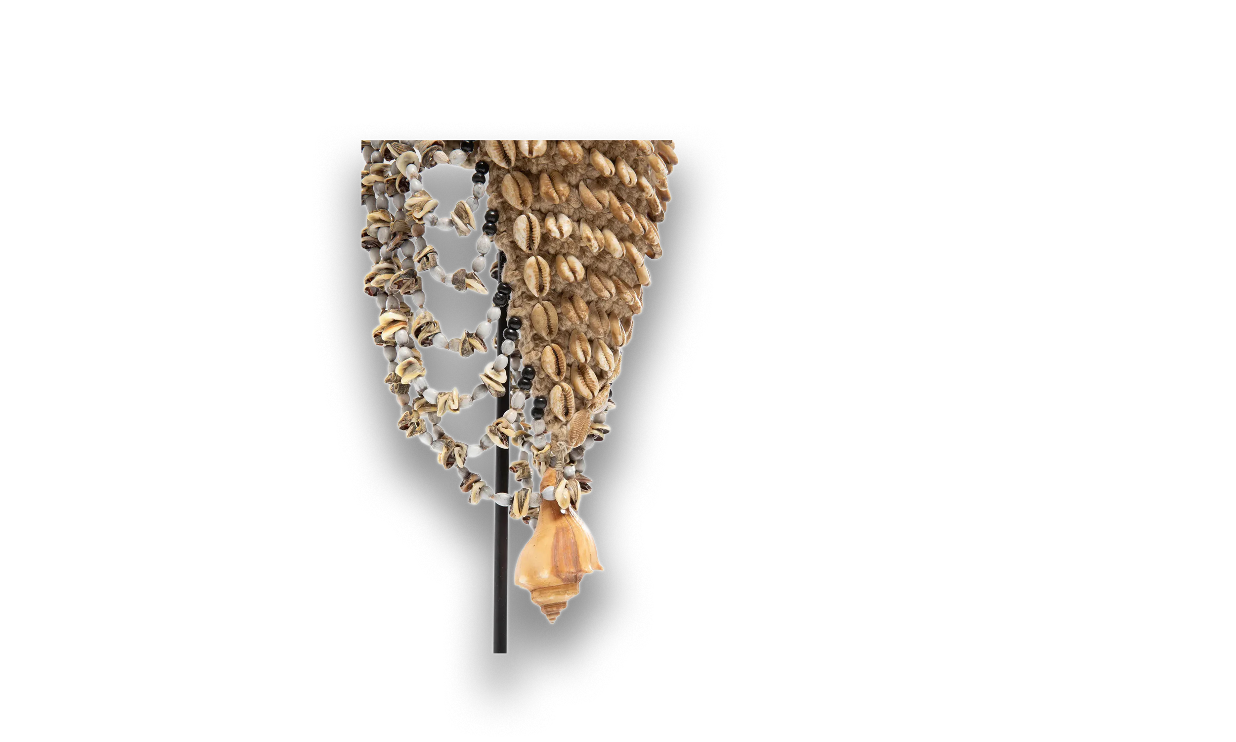 muschelhut3.png