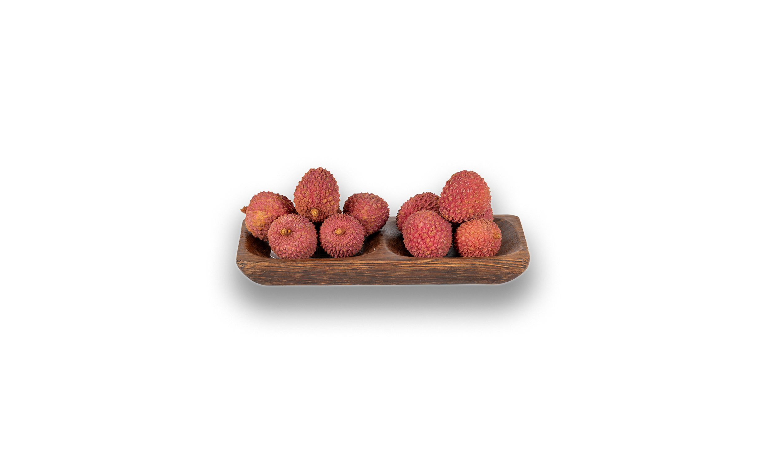 Kokos Schale 2 Fach geteilt