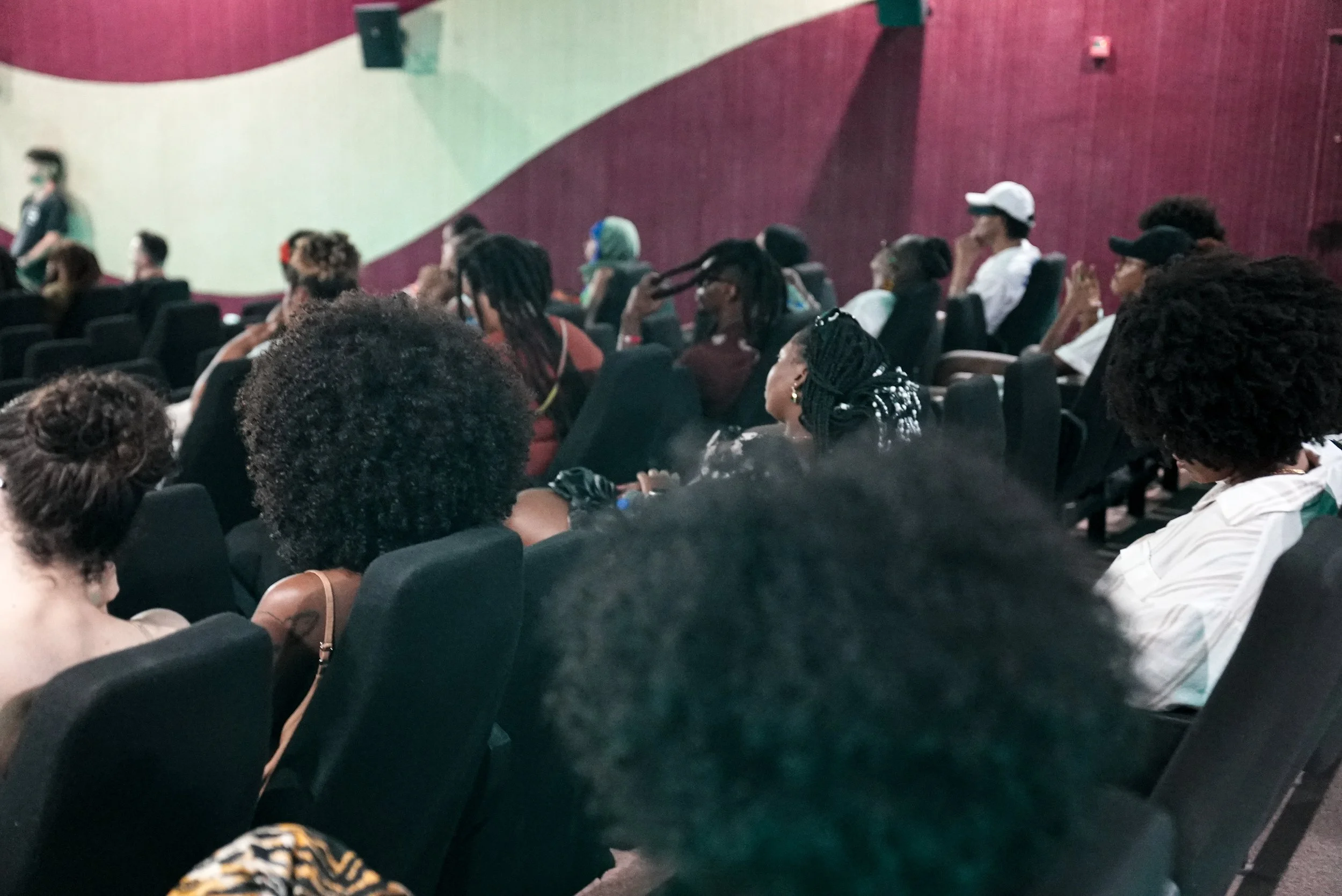 Audience seated in a dark auditorium watching a presentation or film.