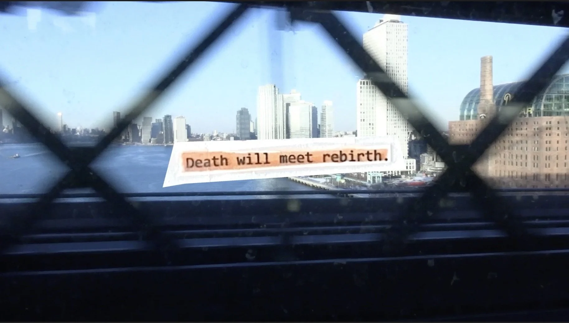 Lily on the Wall by Jaslin Perez