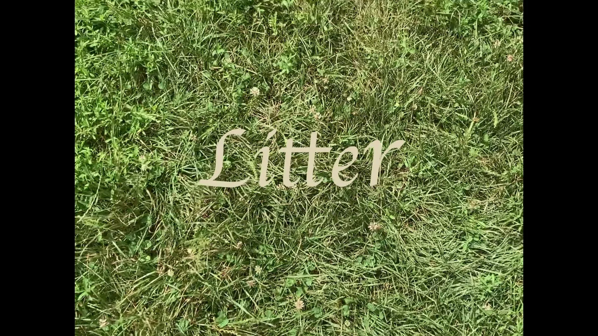 Litter by Mina Cuadrado
