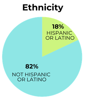 Narrative Lab Ethnicity.png