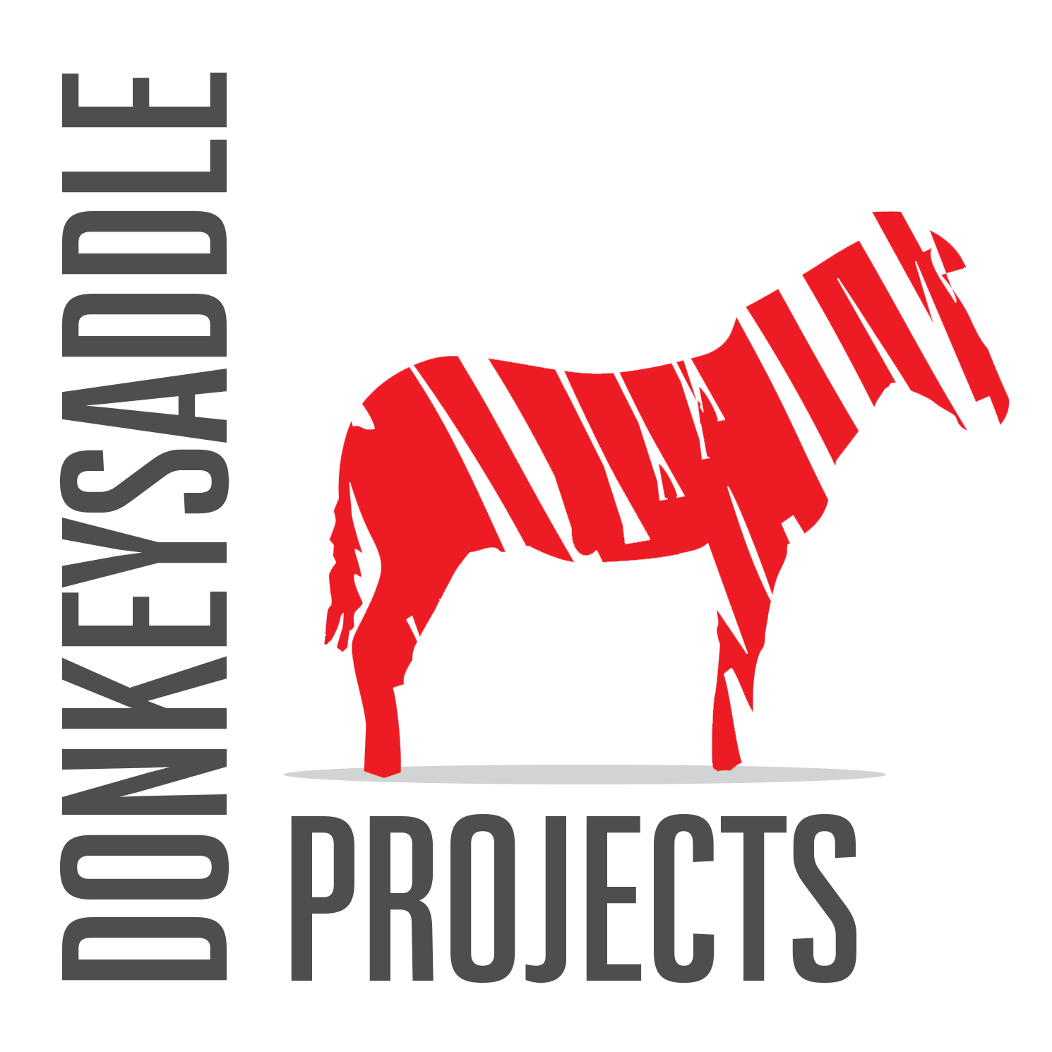 DONKEYSADDLE PROJECTS