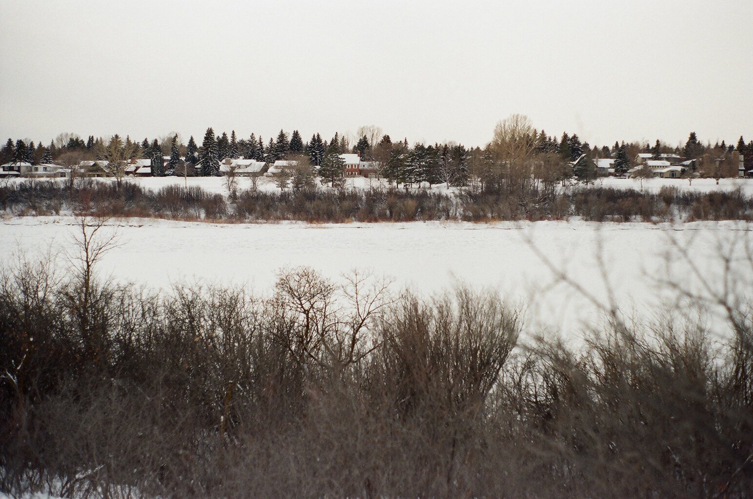 12670012.JPG