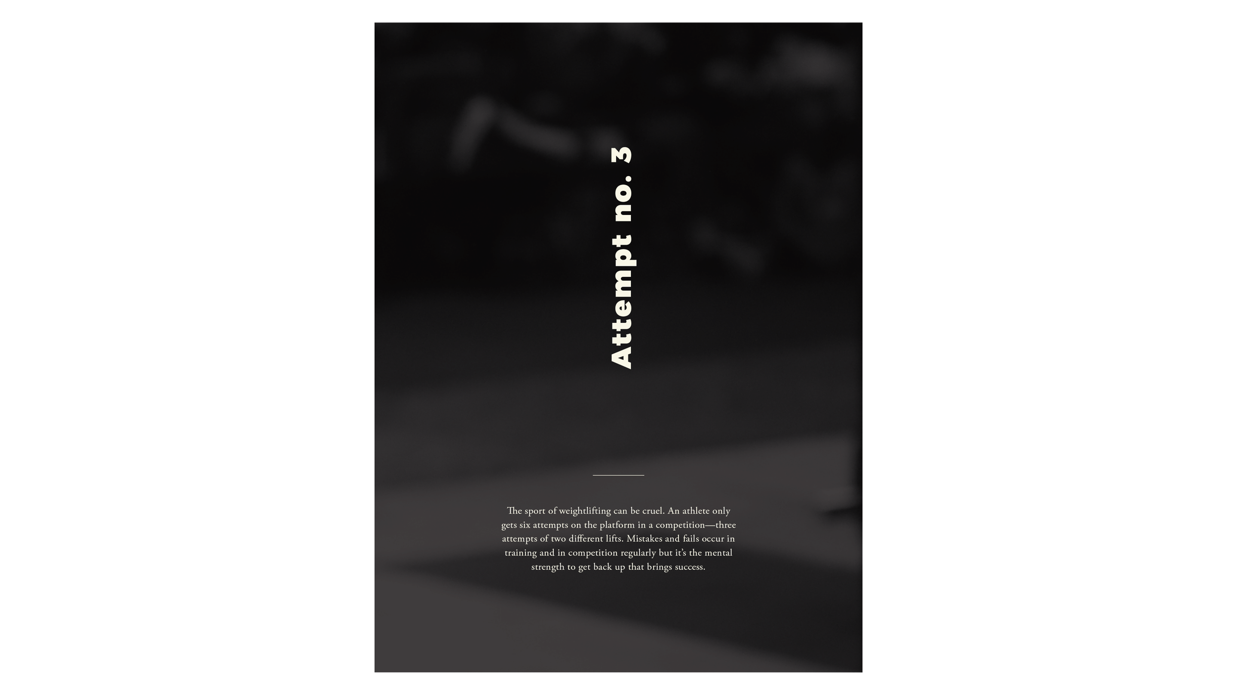 Website_MFAVN_attempt32.png