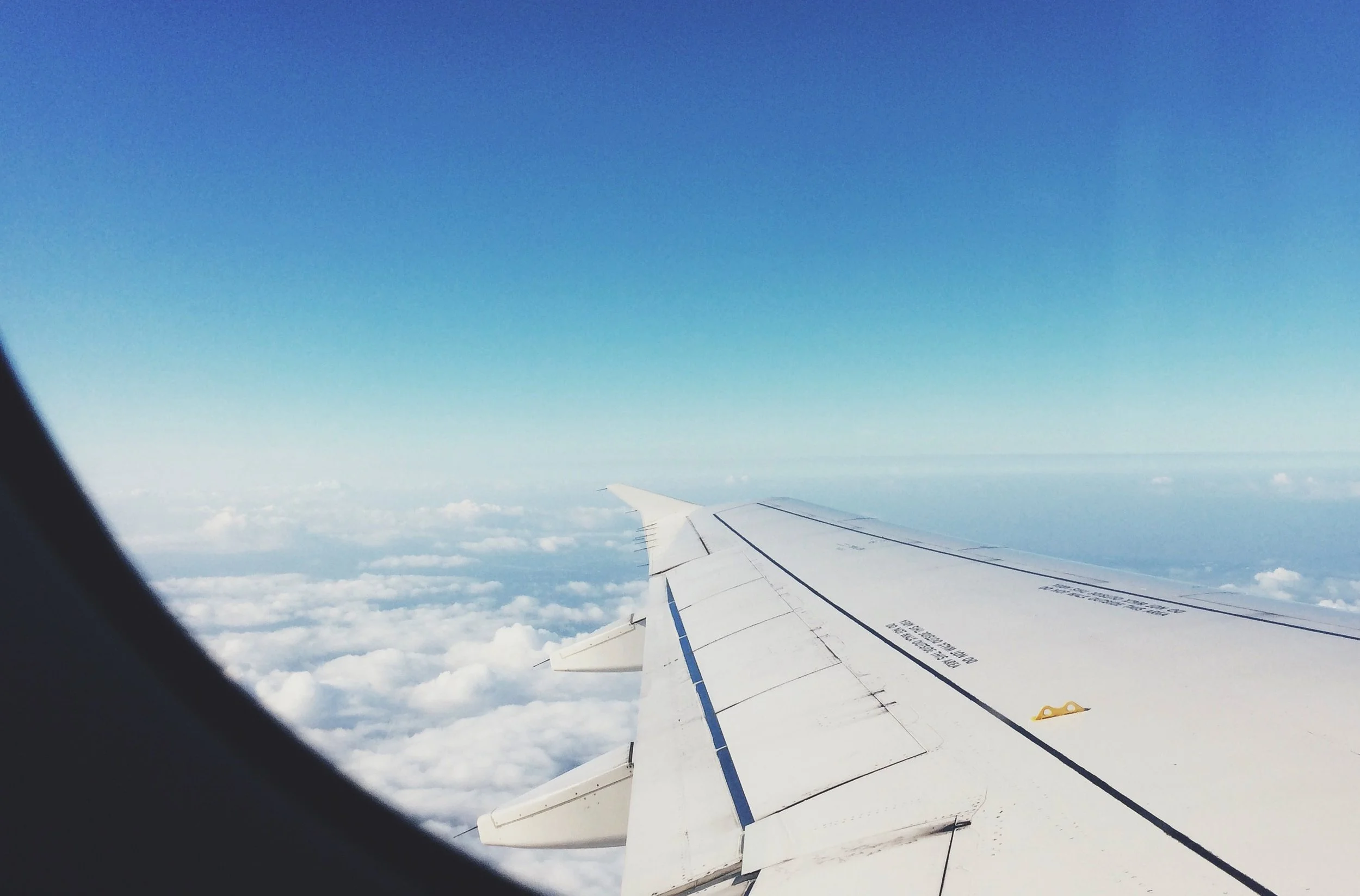 majestic treehouse_travel before 2.JPG