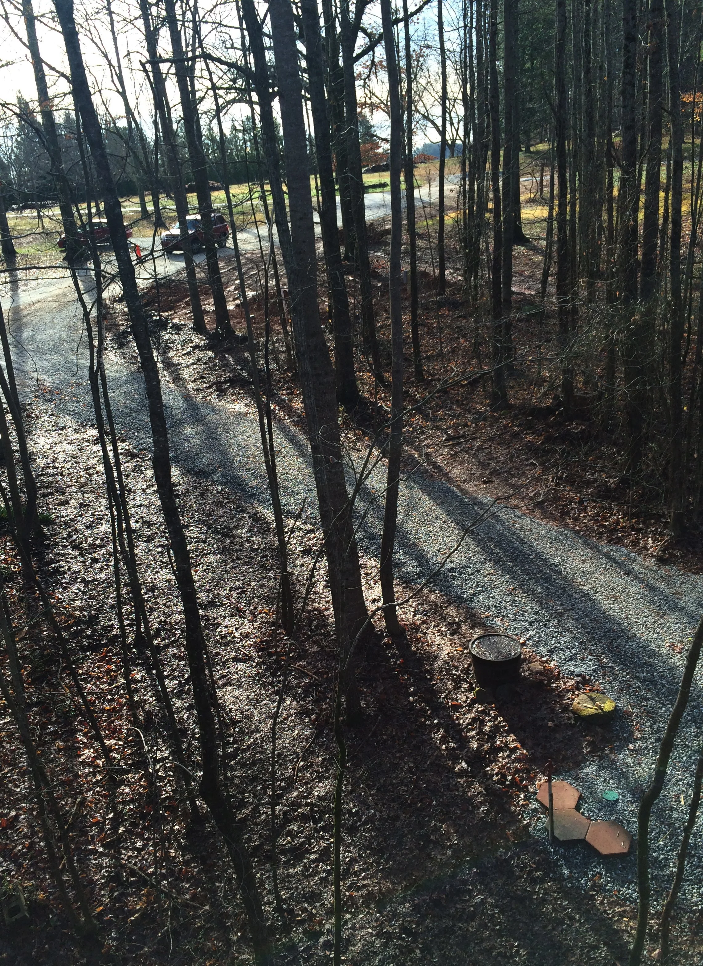 majestic treehouse_outside 19.JPG