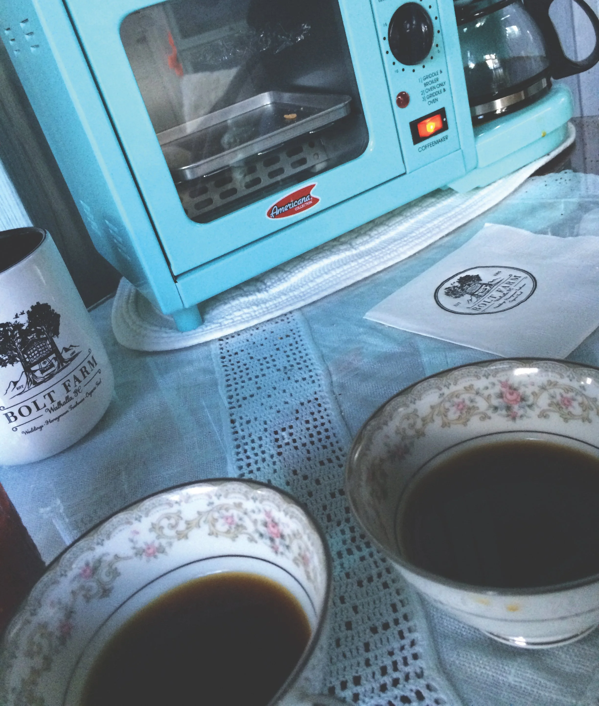 majestic treehouse_inside 8.JPG