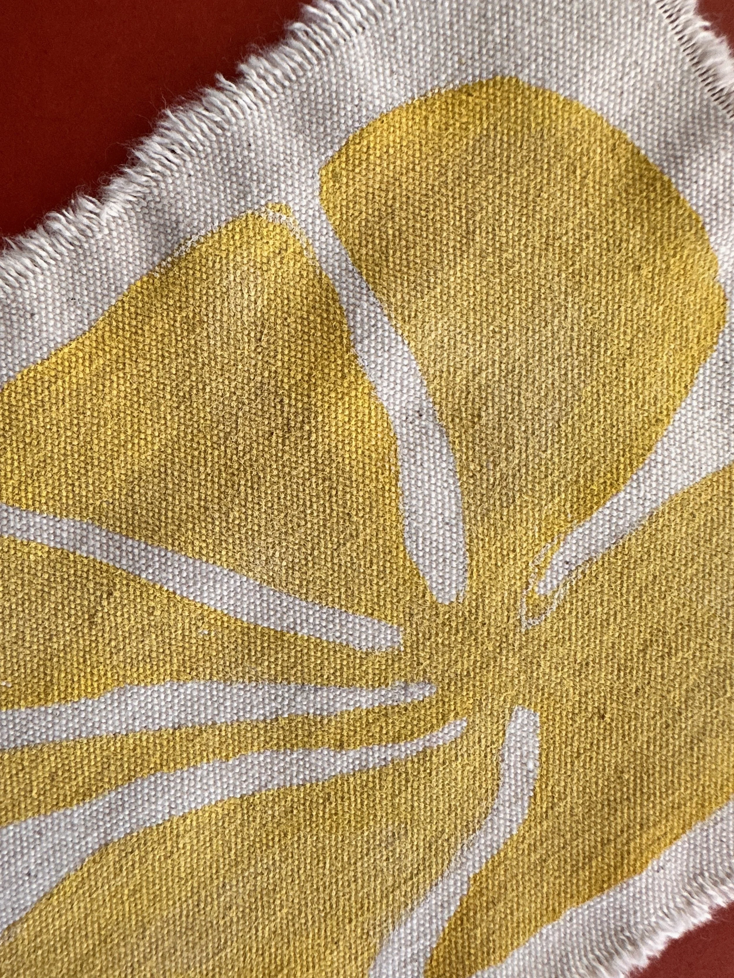 2025 1204 whatimlookingfor_best_3.JPG