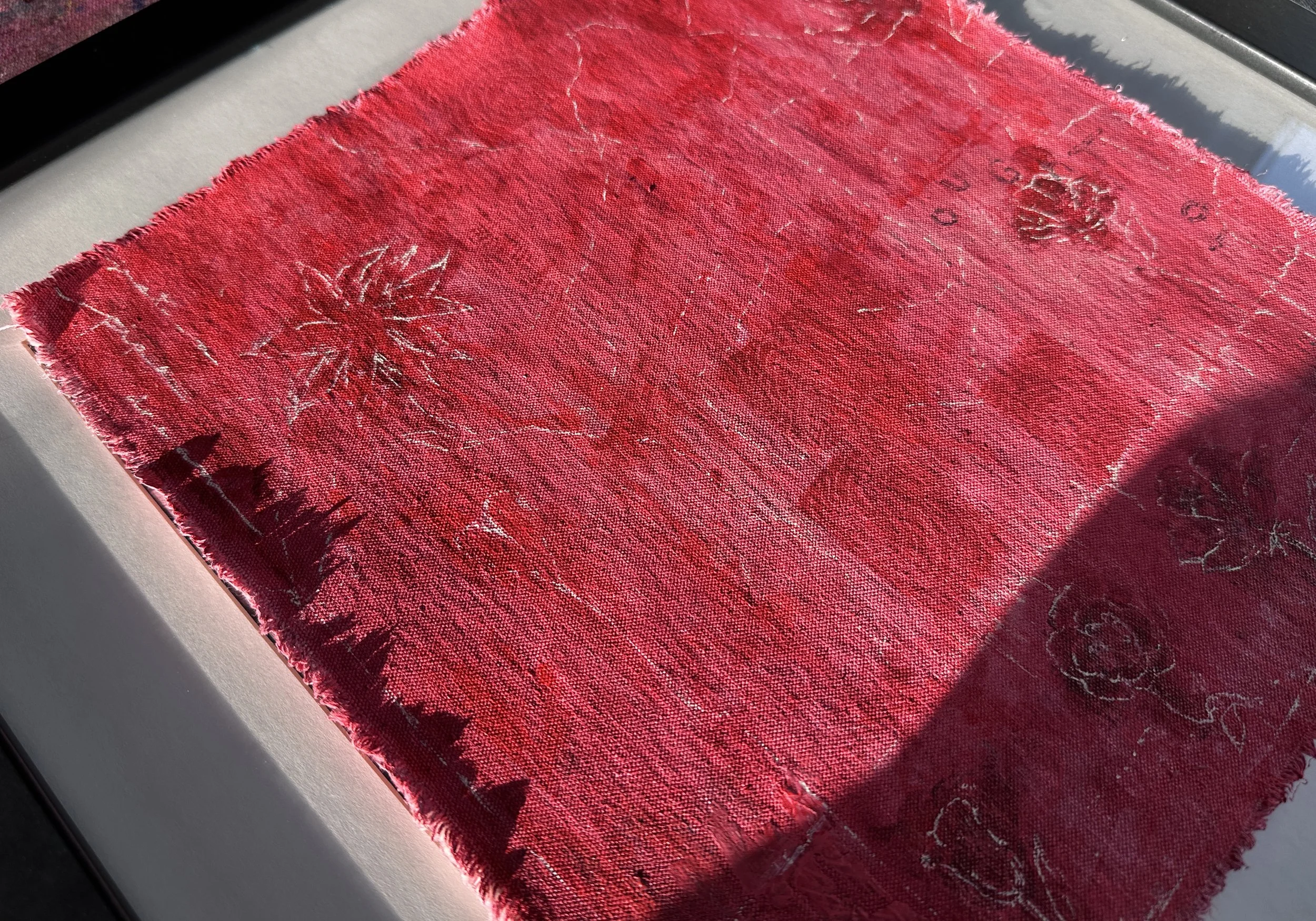 the way we ought to live_final_detail_1.JPG