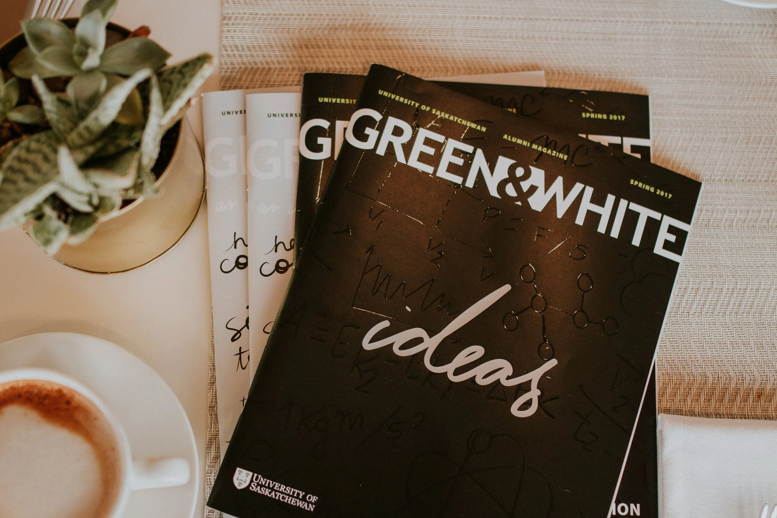 COVER ART__SPRING 2017.jpg