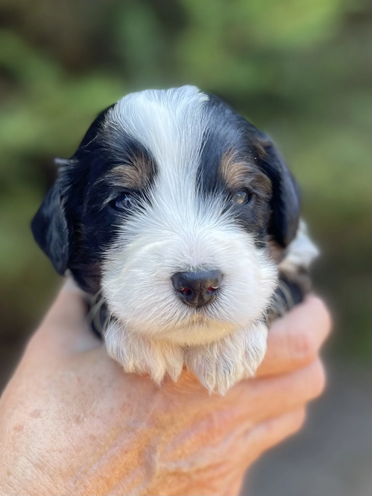 Male - Blue collar