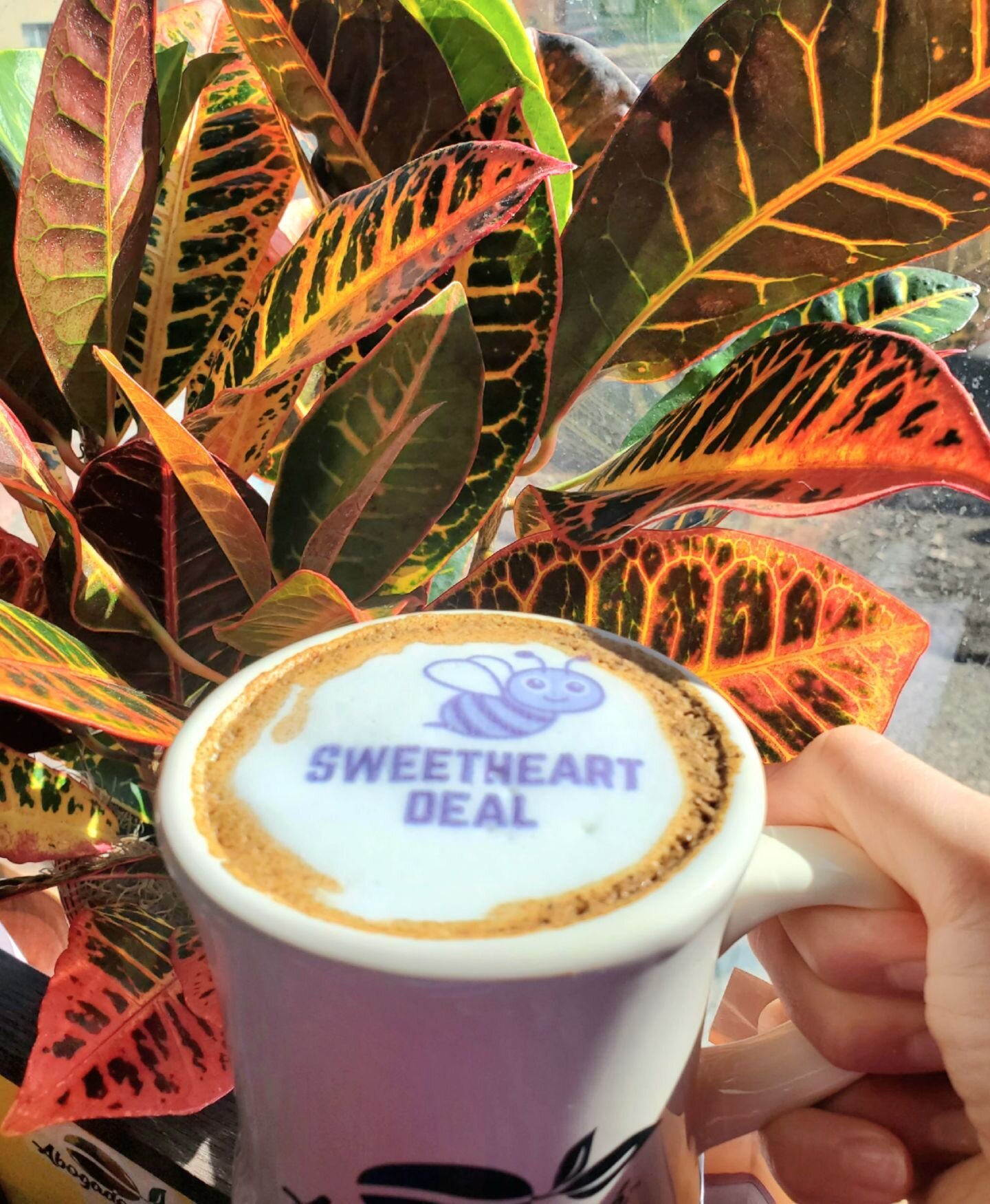 Spring is here and we're buzzing with excitement with our April Signature drink: The Sweetheart Deal! 🐝 🌸

Its original name in Spanish is &quot;Caf&eacute; con Miel&quot; or &quot;Caf&eacute; con Miel de Abeja&quot; 🍯
(perhaps miel or a caf&eacut