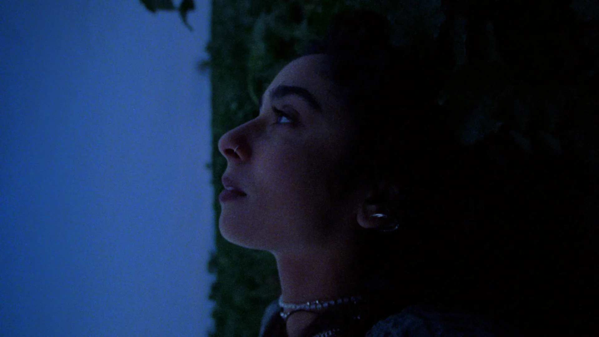 Ladybird 45s V8 Graded Version Adding Zooms.jpg