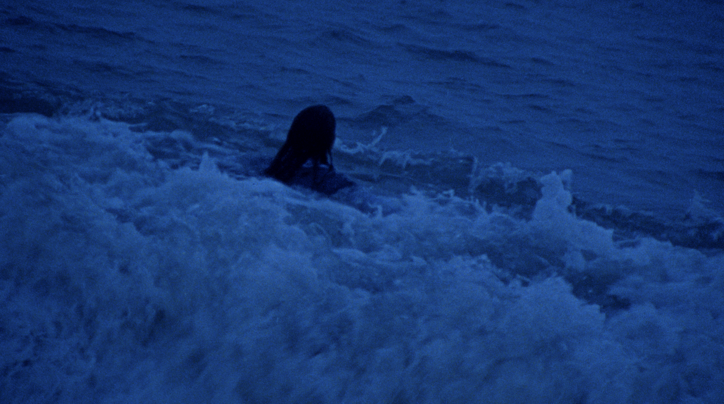 Screenshot 2026-03-11 at 21.01.25.png