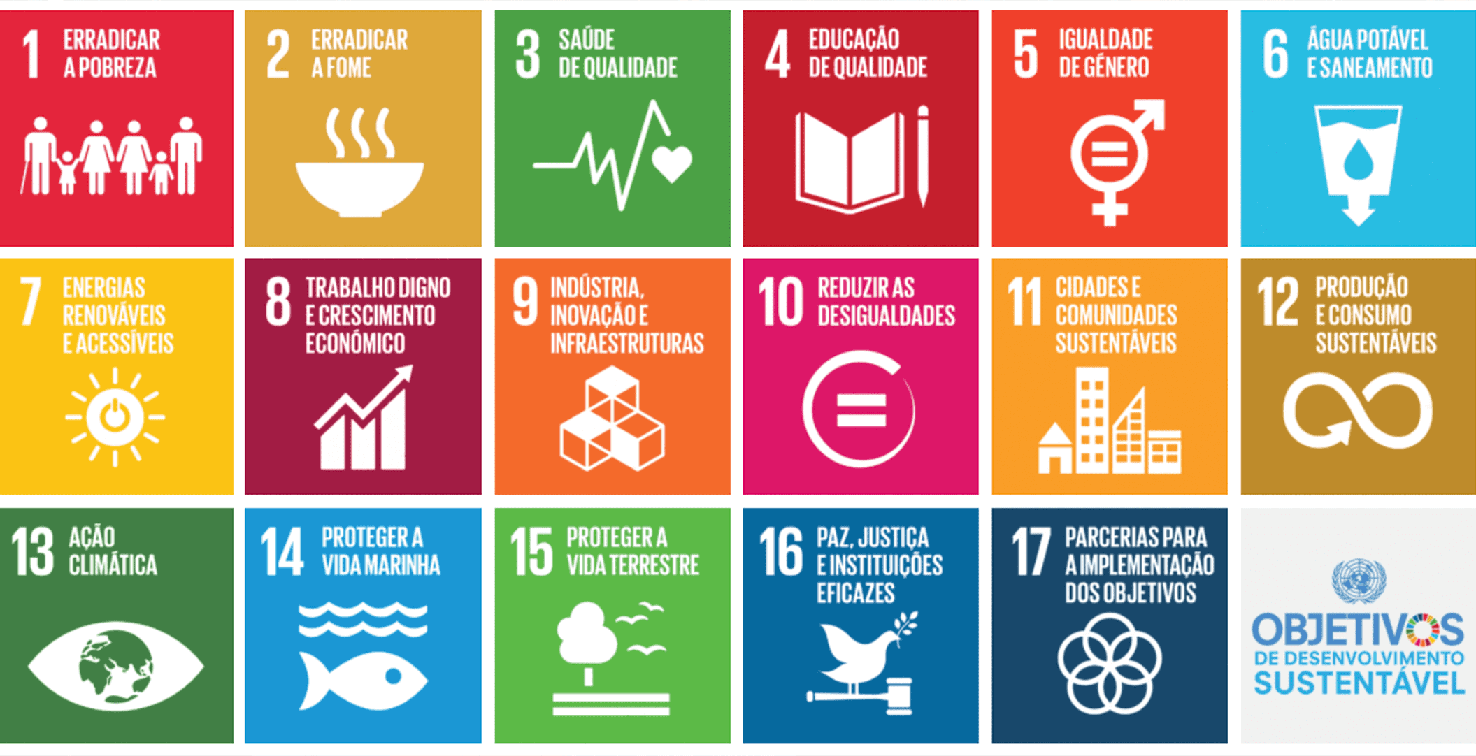 O Termo Territorial Coletivo e os Objetivos do Desenvolvimento Sustentável