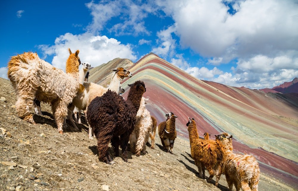 RainbowMountain_Peru.jpeg