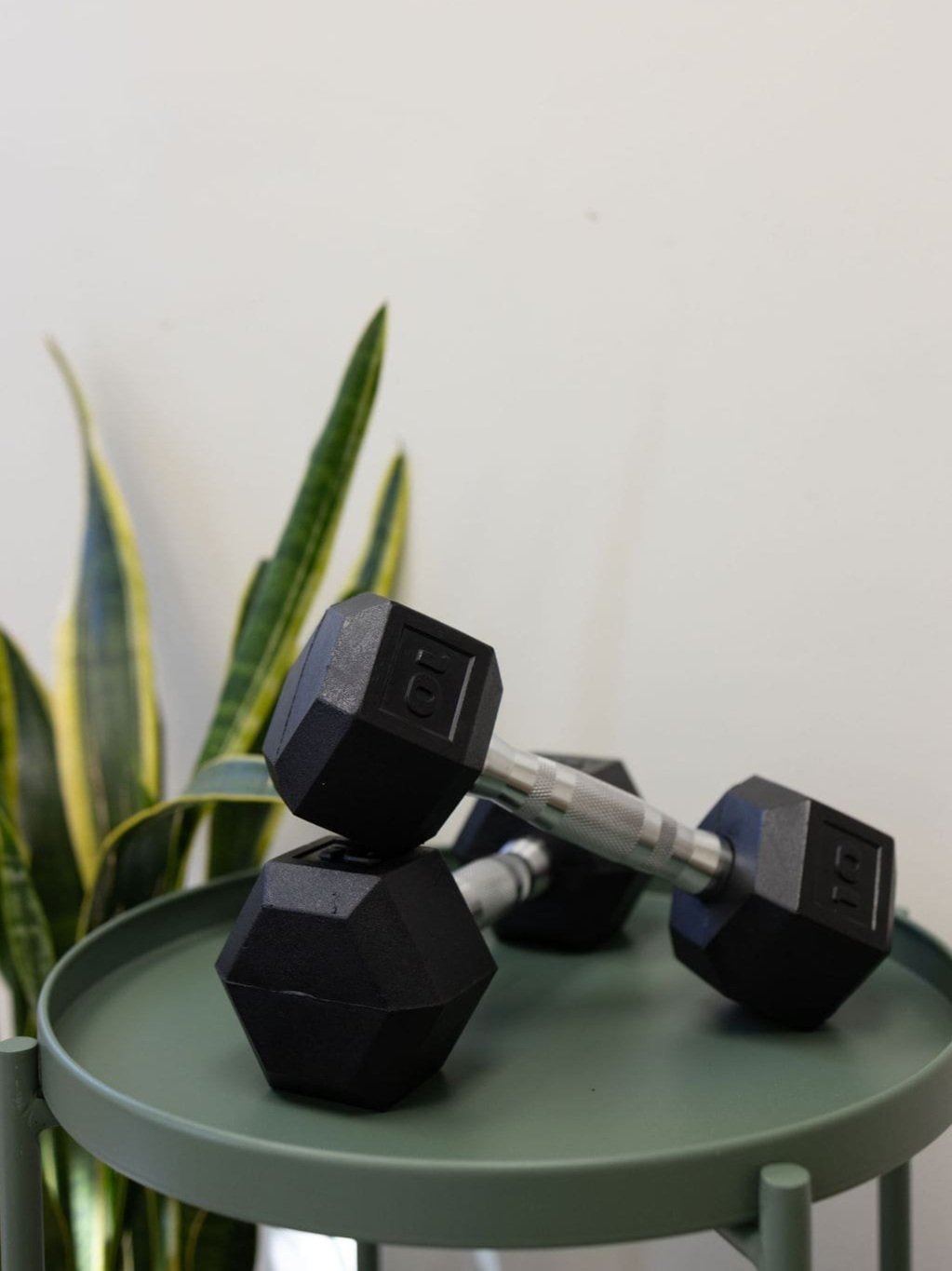 Ten-pound dumbbells are placed diagonally on a small green table top with a snake plant in the background, symbolizing the role of exercise in pelvic floor health in southern new jersey
