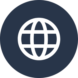 Icon of a globe in a dark circle representing the internet or global connectivity