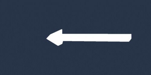 animated arrow pointing to "I had a Vaginal Birth"