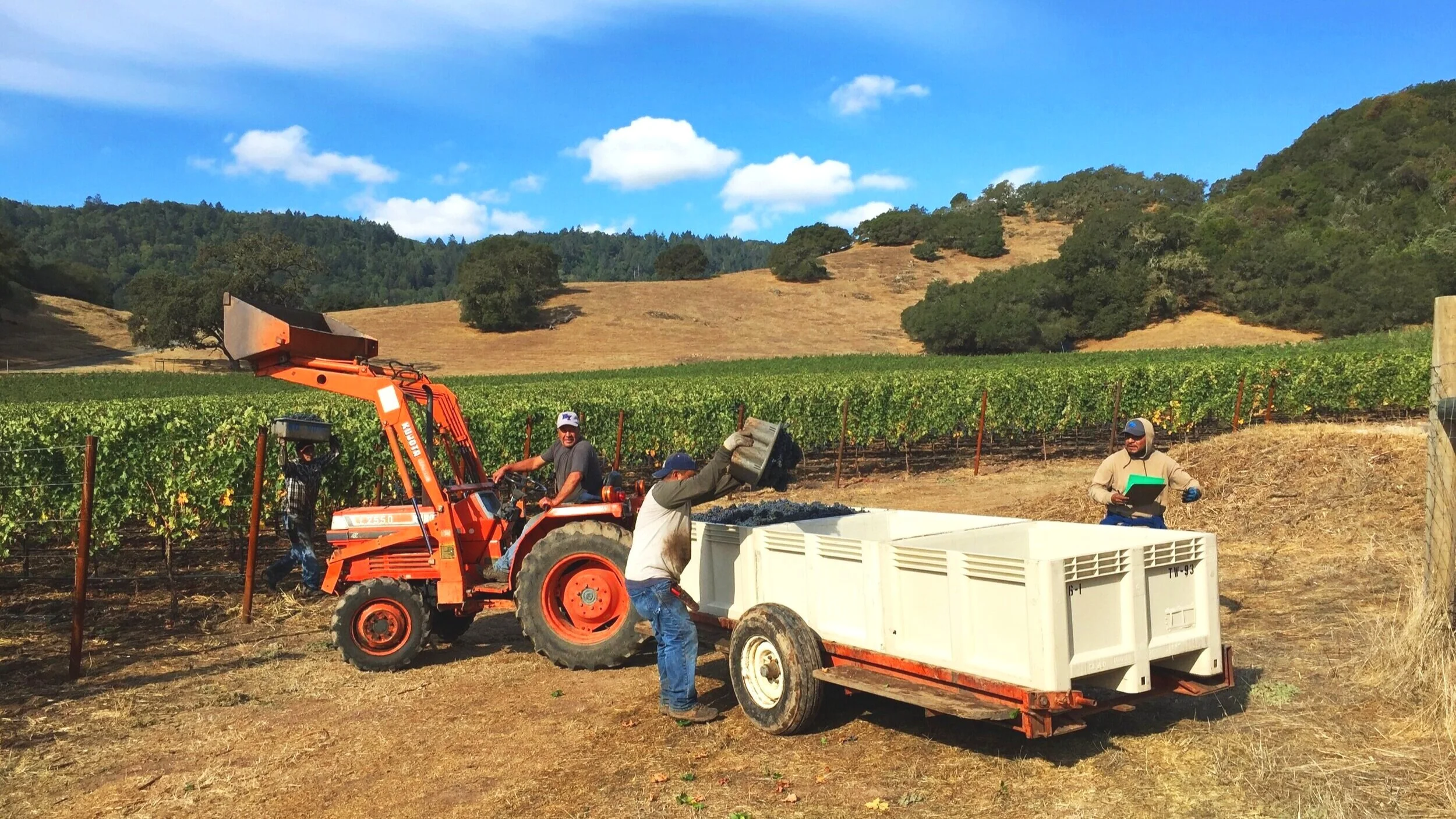 Wine Vault Napa Valley Premier Wine Storage Get a Free Quote