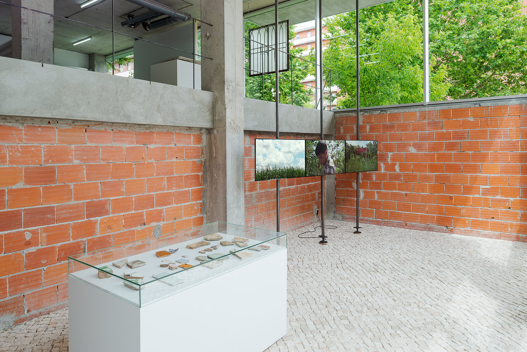 remnants of history: French colonial tile technology, pieces of home foundations, and traces of lived lives | 2016 | 28 retrieved pieces of cement/ceramic tiles and domestic objects