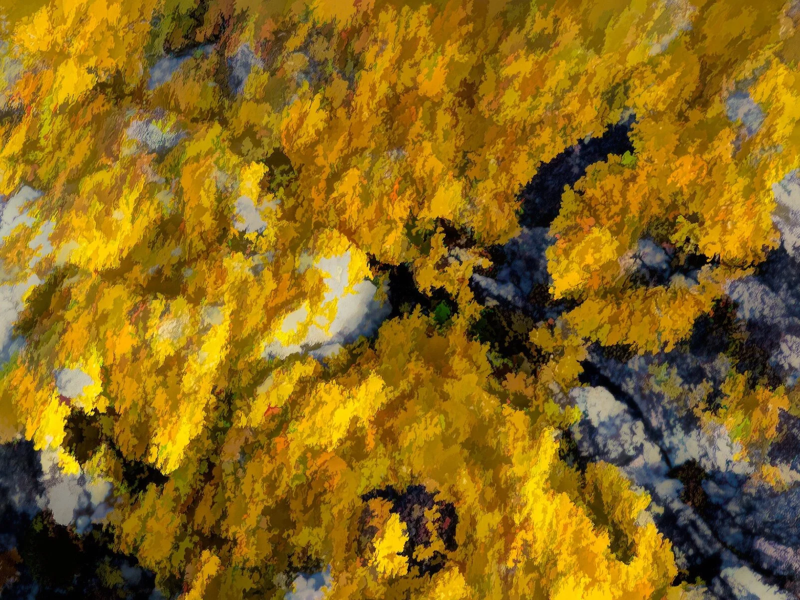 Inside+Topaz+Studio+2.jpg