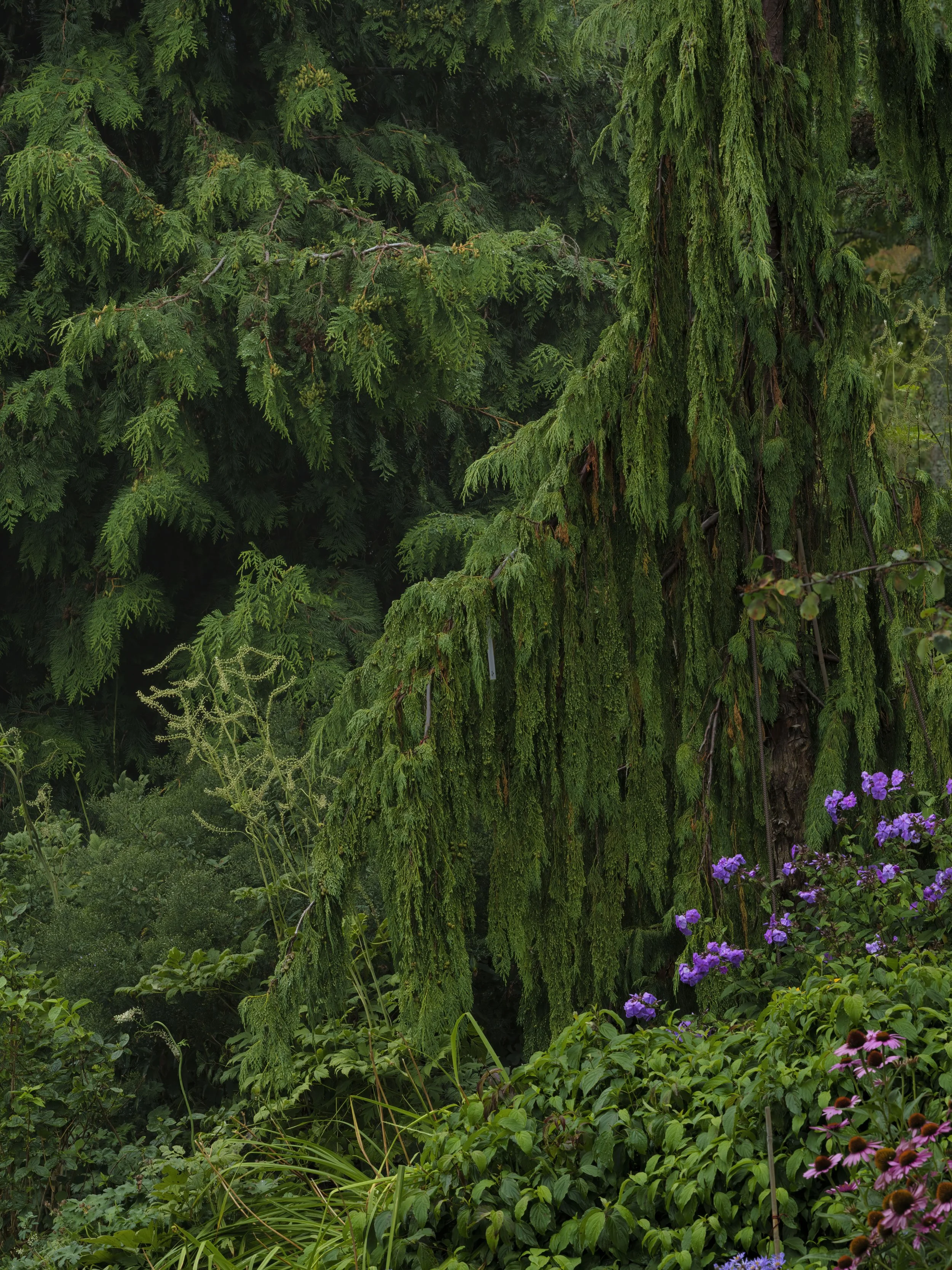 B0047749_1 Preview.jpg