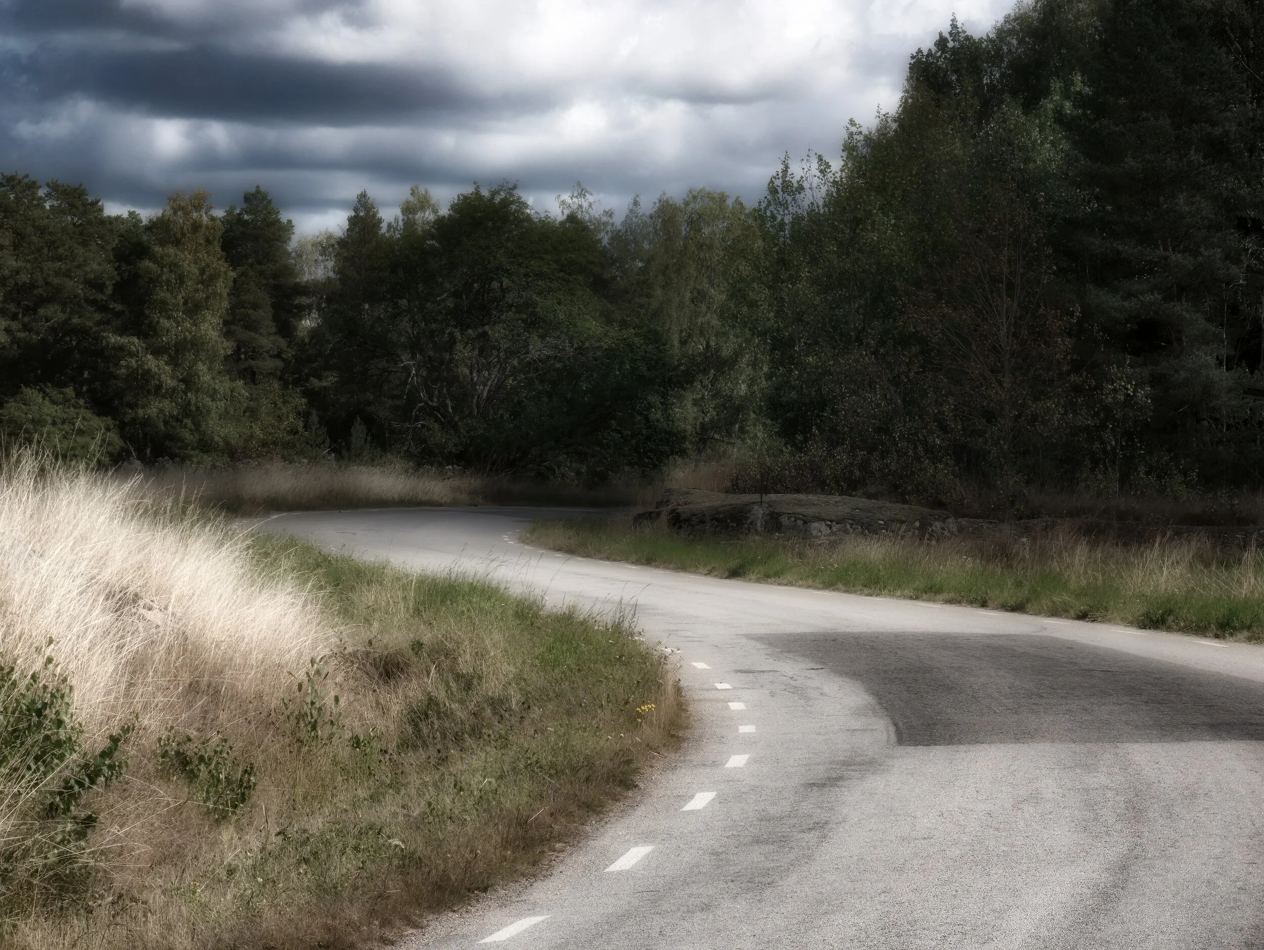 P1060815-denoise-denoise_Luminar 02B_DxO.jpg