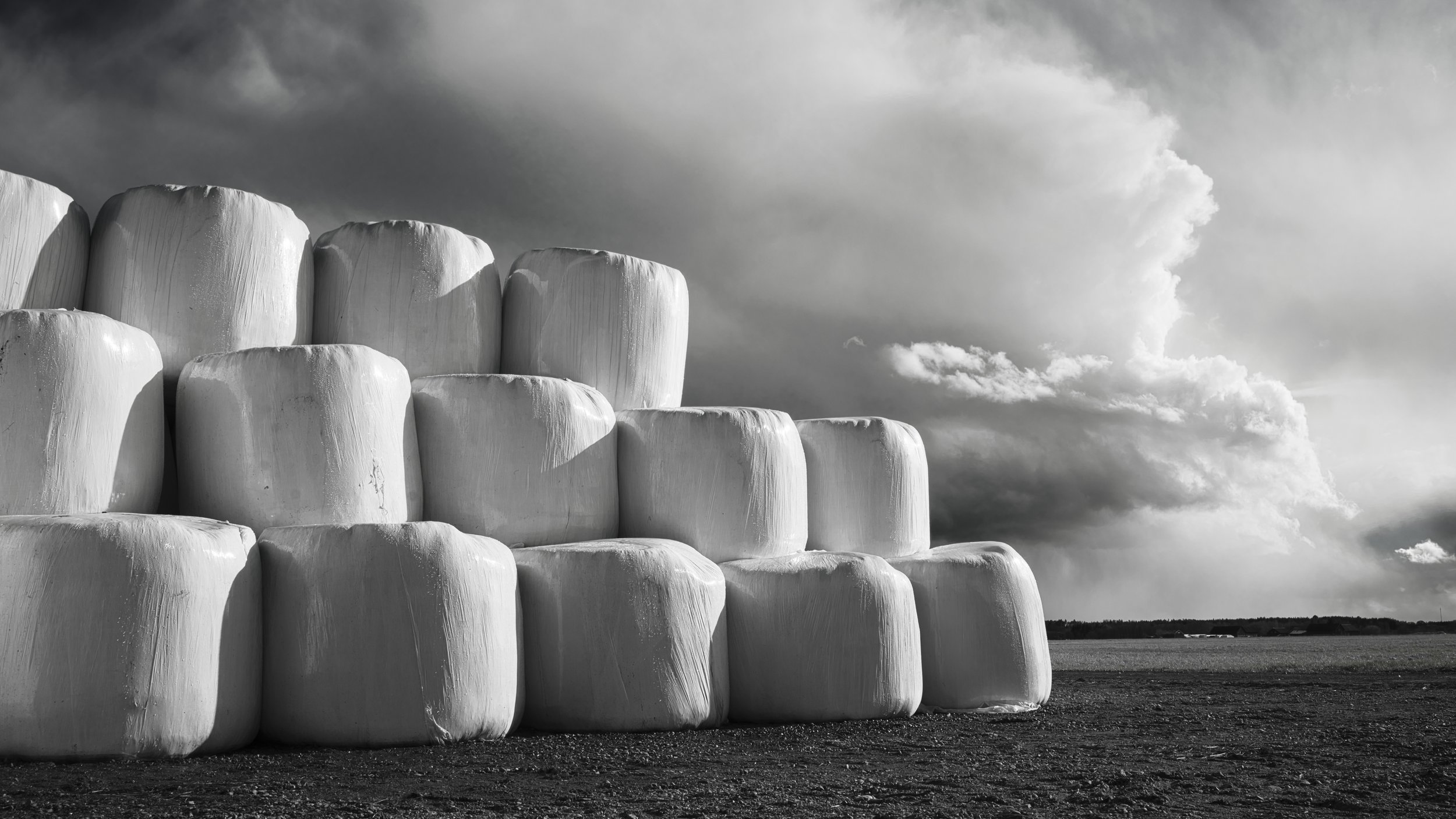 B0004222 Pile of Ensilage Bales